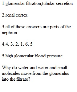 Exam 3